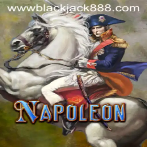 Exploring Napoleon Game